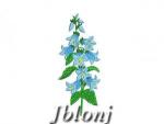 Machine Embroidery Design