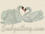 "Swans' faithfulness"