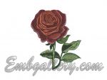 "Scarlet Rose as a Gift"_3