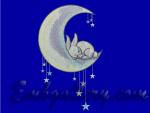 "Bunny on the moon"
