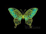 "Charming Butterfly 4"