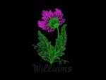 FLOWERS 2 (Gift to Purchase)