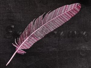 Y085a_0.jpg