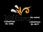W703_1a
