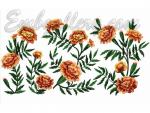 Set of Machine Embroidery Designs