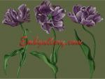 Collection of 2 Machine Embroidery Designs "Tulips"