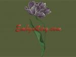 Machine Embroidery Design