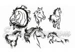 Collection of 6 Machine Embroidery Designs