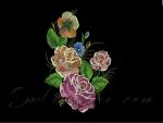 Collection of Machine Embroidery Designs