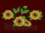 Machine Embroidery Designs Set