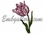 Machine Embroidery Design