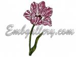 Machine Embroidery Design