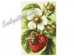 Machine Embroidery Design