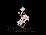 Machine embroidery designs.