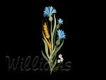 "Summer, Wildflowers..."_1 Machine embroidery designs.