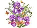 "Irises and daisies"_302x301mm