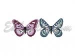 "Butterflies FSL"