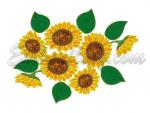 "Sunflowers Applique"