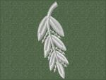 "Sprig on the lapel"_4