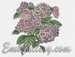 "Hydrangea Bouquet"