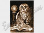 "The learned Owl"