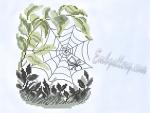 "Spider web"