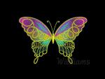 "Charming  Butterfly 1"