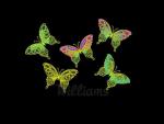 Machine Embroidery Set "Charming  Butterflies"