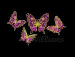 Machine Embroidery Set "Butterflies"