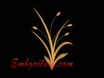 "Summer border"_4