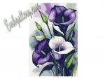 "Calla Lilies"_in Photo Stitch