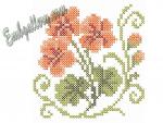 "Nasturtiums"_Gift with purchase