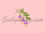 Fuchsia (free)
