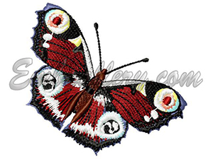 R153aaa.jpg