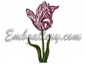 R160_2 (image)_3.jpg